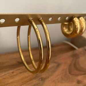 Elegant Gold Hoop Earrings